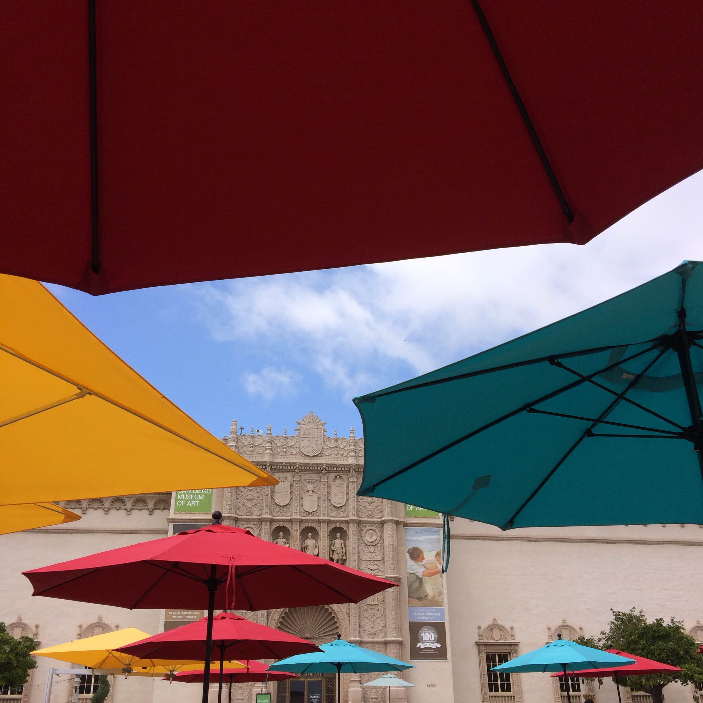 PdP-SDMA Umbrellas copy